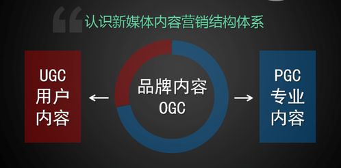 學習新媒體運營，把握互聯網銷售新機遇